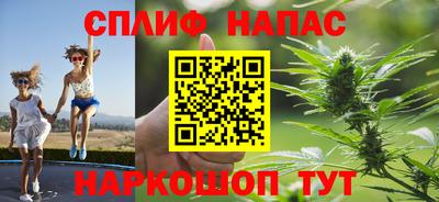 сатива Конаково