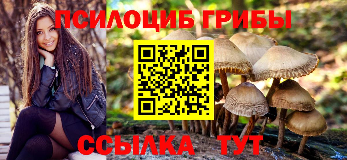 Псилоцибиновые грибы MAGIC MUSHROOMS Кропоткин